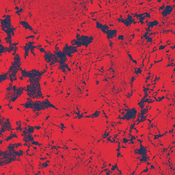 Payroll Calculation & Filing