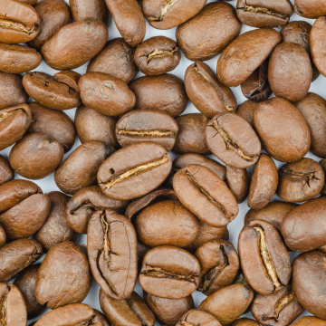 Bookkeeping (monthly)